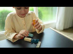 A video featuring the PlanToys Waldorf toy block puzzle.