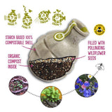 Butterfly Seedbom & Butterfly Notebook