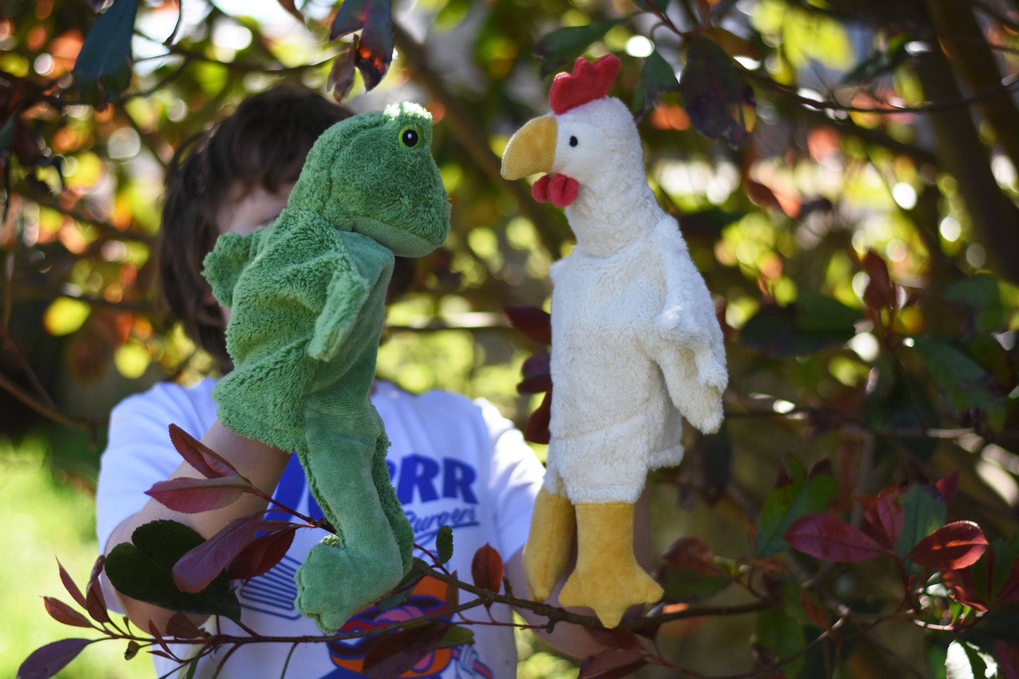 A child playing with the Senger frog and chicken puppets , one on each of their hands.
