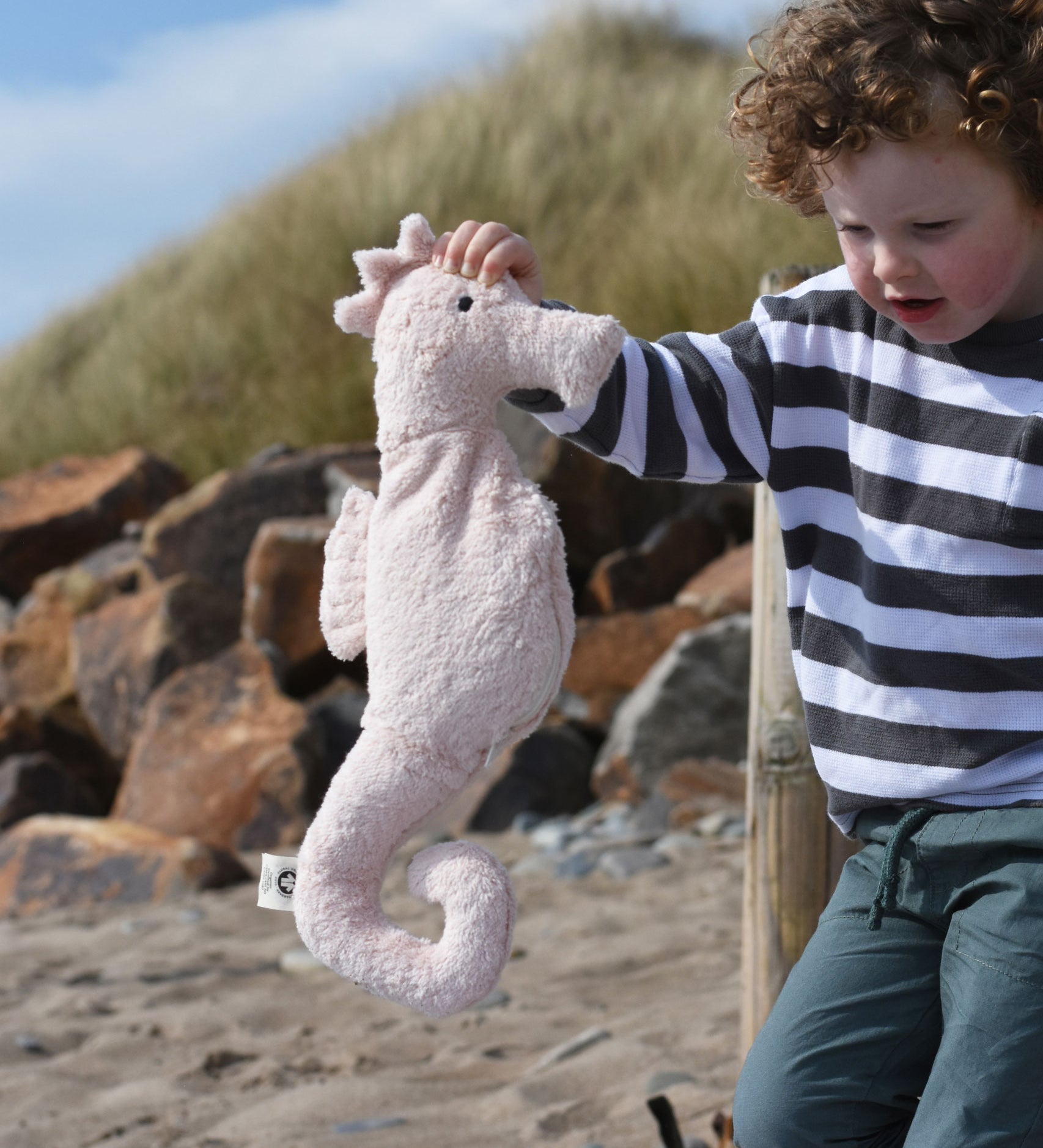 A child holding up a Senger seahorse on a beach.