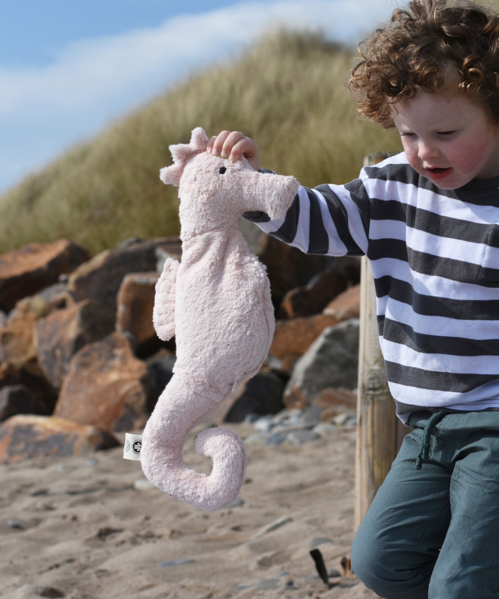 A child holding up a Senger seahorse on a beach.