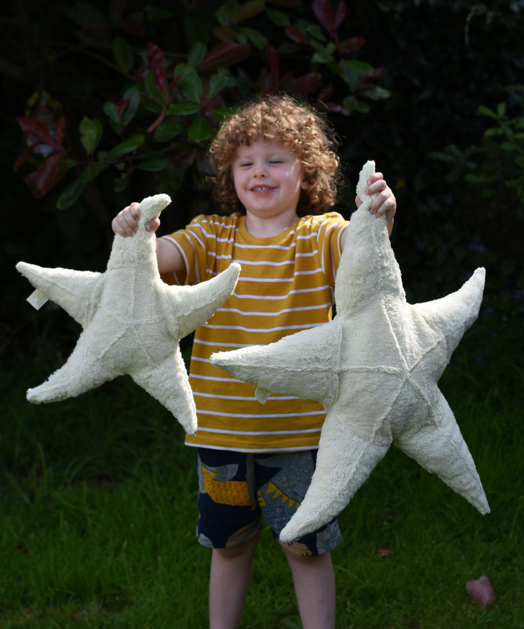 A child holding up a small and large Senger starfish soft toys in front of them. The Senger starfish are part of a wide range of organic soft toys available here at babipur.
