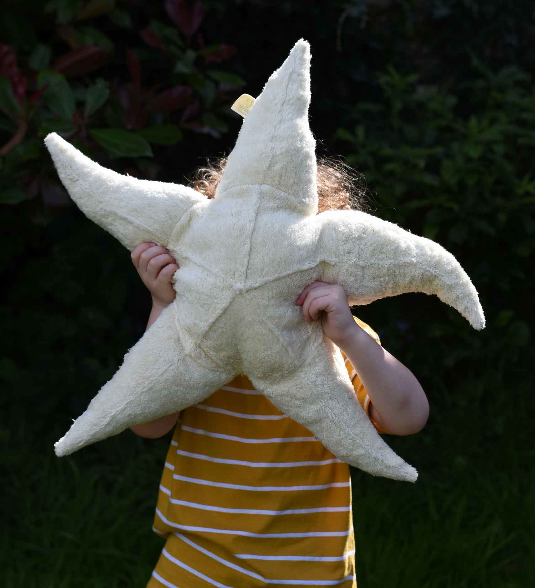 A child holding a large Senger starfish soft toy up in front of his face.  The 5 point starfish soft toy is made with organic and natural materials and fillings.