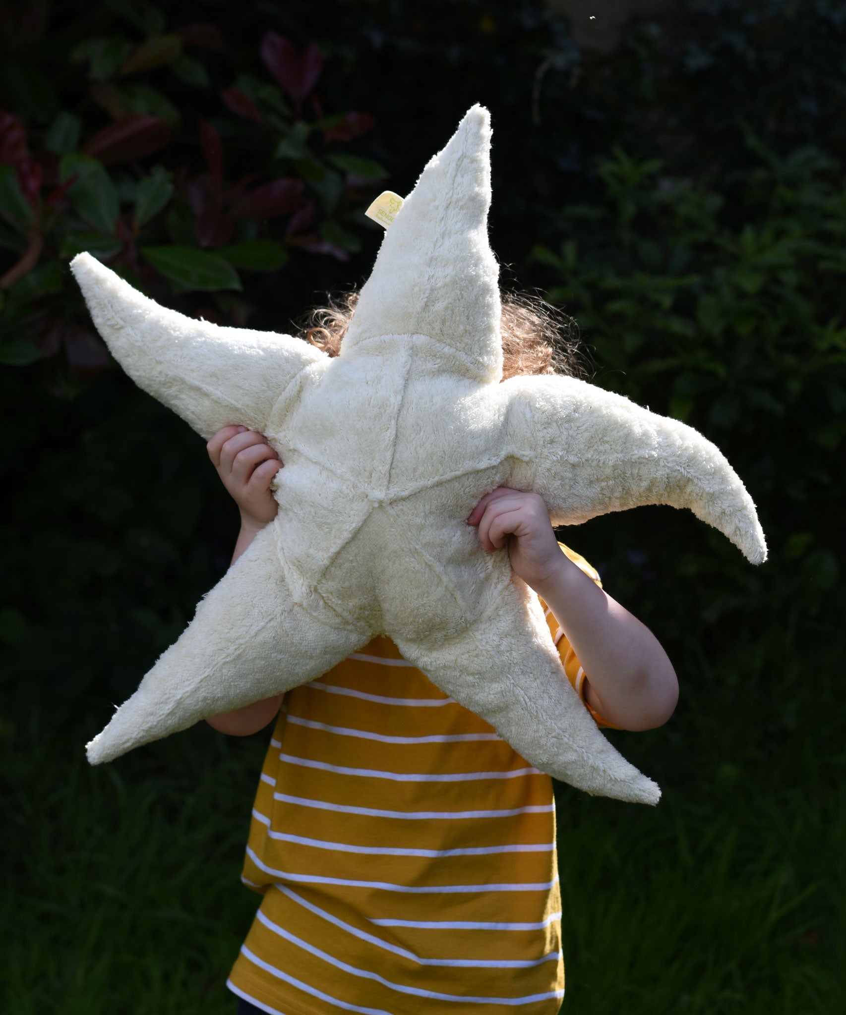 A child holding a large Senger starfish soft toy up in front of his face.  The 5 point starfish soft toy is made with organic and natural materials and fillings.