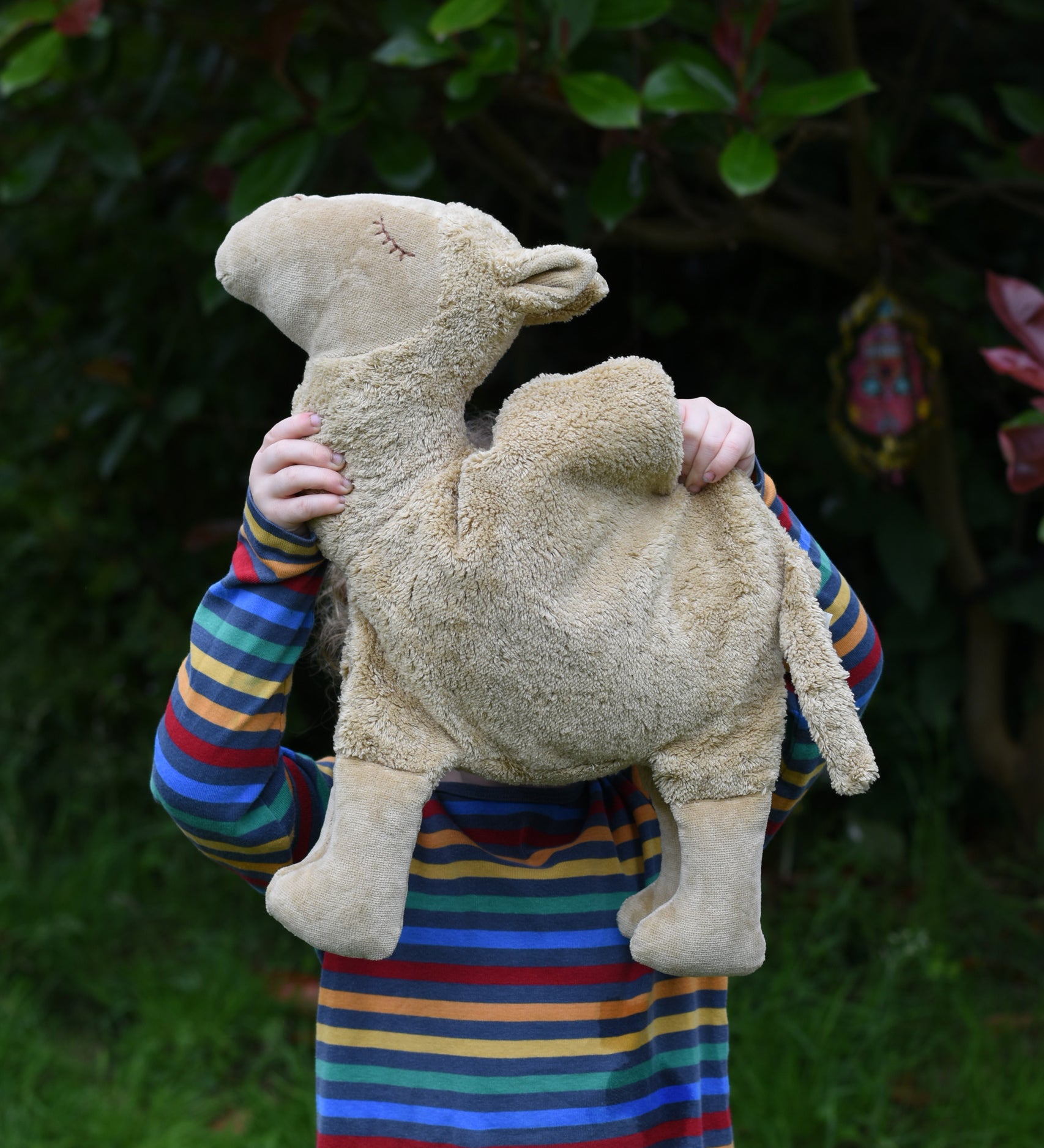 A child holding up the large Senger Cuddly Camel Organic Heatable Soft Toy. The child is wearing a striped rainbow coloured top.