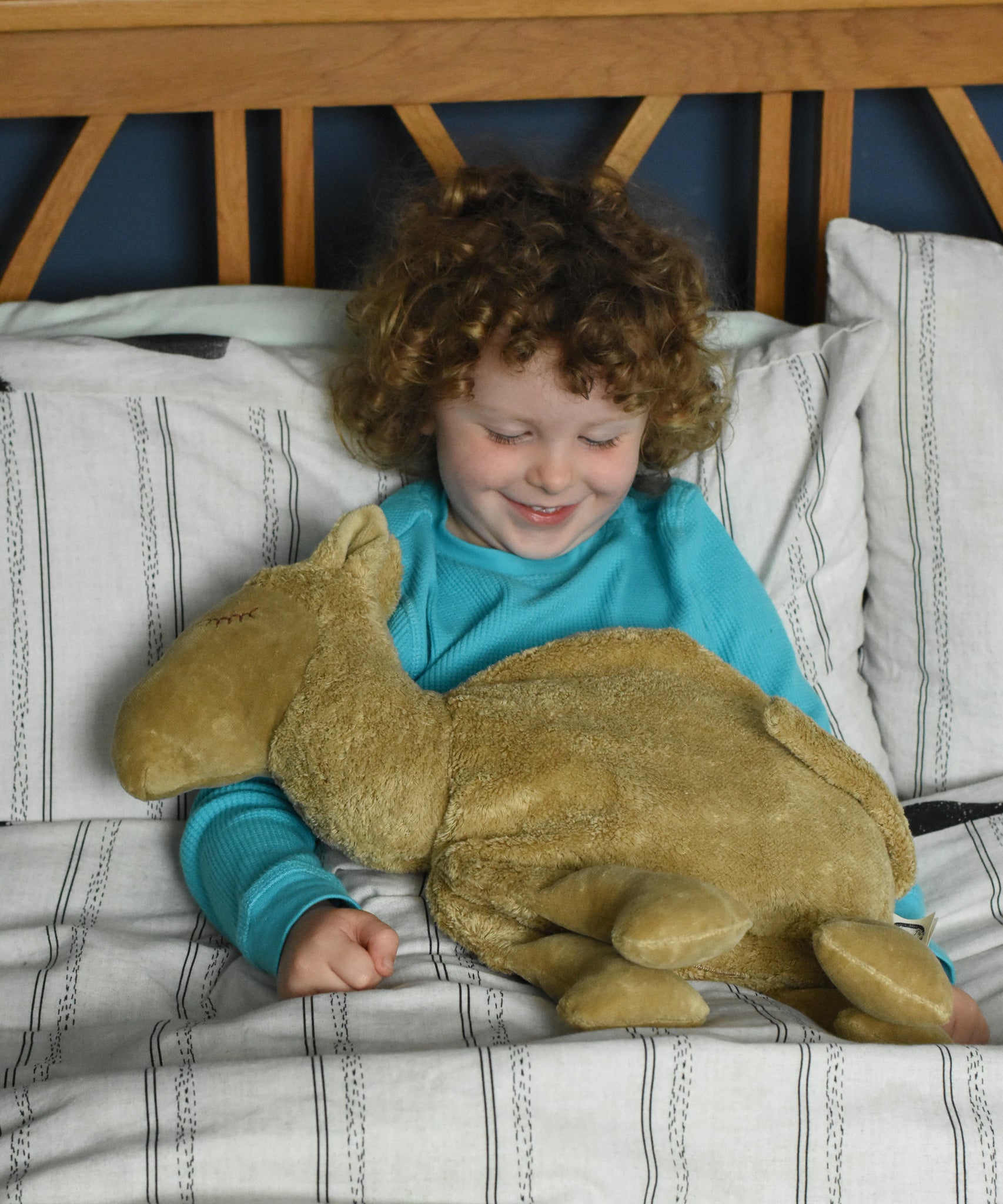 A child sitting up in bed with a large Senger cuddly camel soft toy placed on their lap. The child is looking down at the camel with a smile on his face.