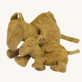 Senger Large and Small Cuddly Camel soft toys.