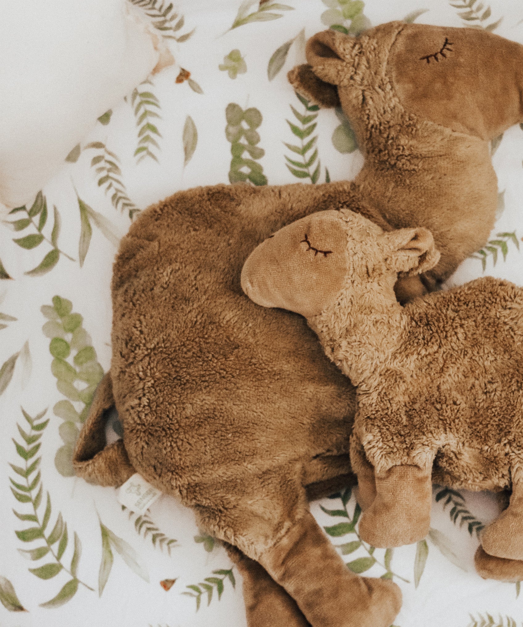 The large and small organic cotton stuffed camel toys on a bed