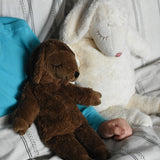 A Senger small brown cuddly sheep soft toy in placed on a child's lap in bed. A large white cuddly sheep can be seen next to the child. These sheep are part of a wide range of soft toys made from organic and natural materials stocked at Babipur.