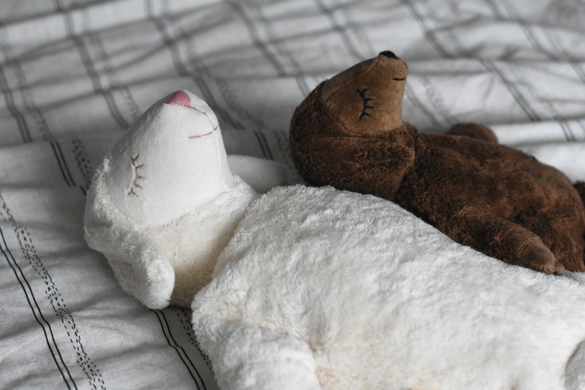 A Senger large white sheep and small brown sheep cuddly soft toys in laying positions on a cream and black striped duvet. These sheep are part of a wide range of soft toys made from organic and natural materials stocked at Babipur.