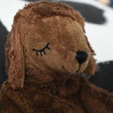 A close up showing the features on the face of the Senger small brown cuddly sheep.