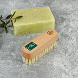 next to a potted plant