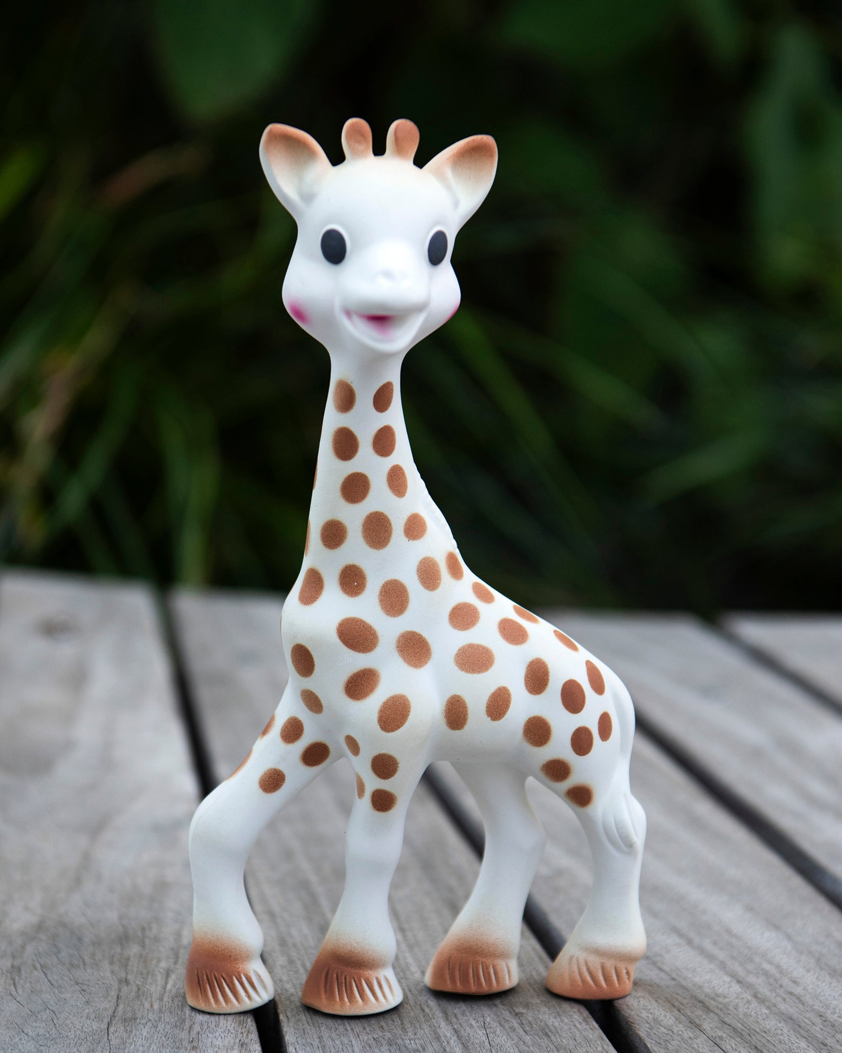 looking down and holding the Sophie la Girafe® - Once Upon A Time 100% Natural Rubber Original Giraffe Teether