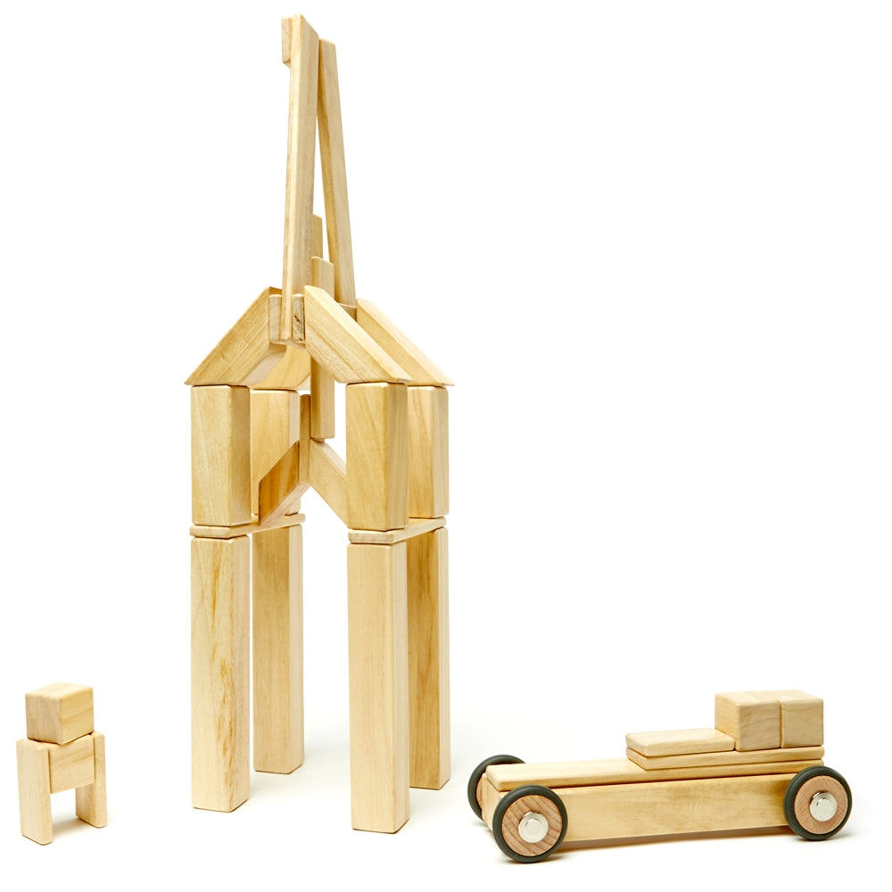 Ensemble de 24 blocs de bois magnétiques Tegu, Teintes : Tegu Toys Ensemble de 24 blocs de bois magnétiques Tegu, Teintes : Tegu Toys