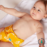 Couche Bamboozle de la naissance à la propreté Tots Bots, taille 2