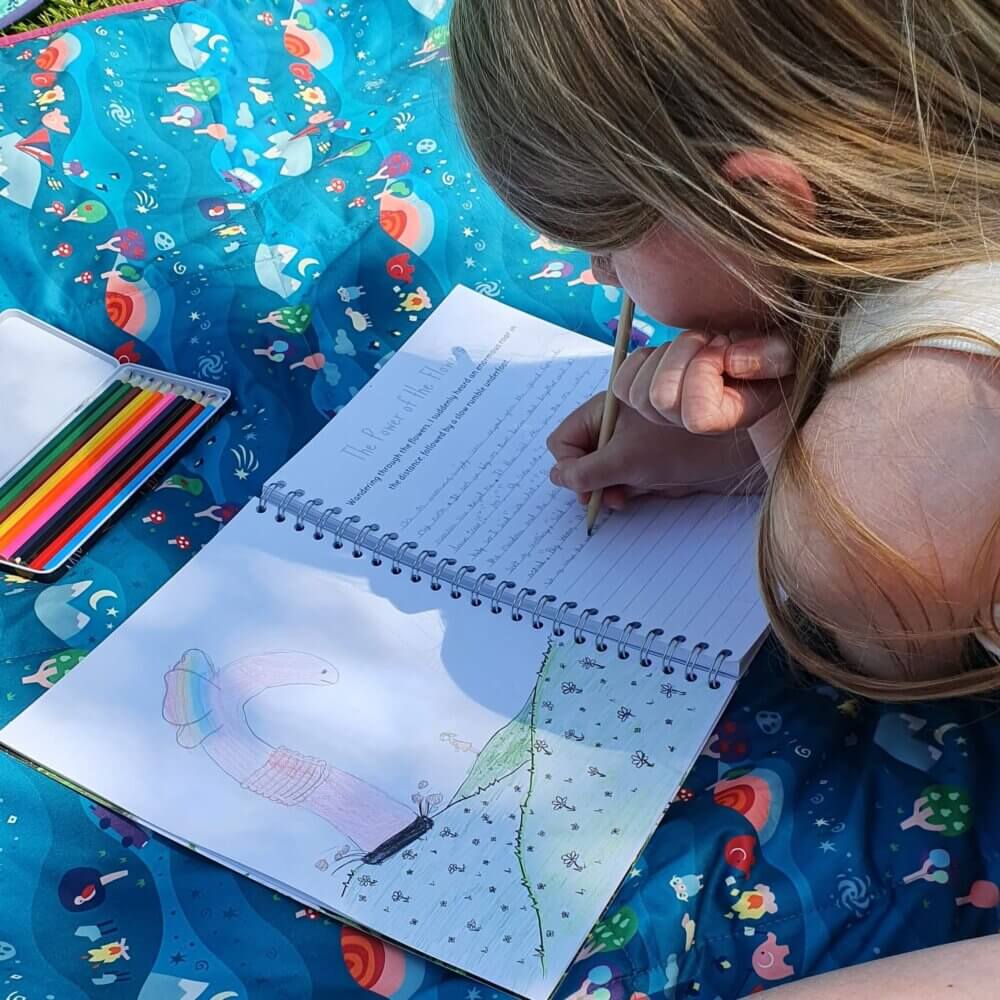 The Phive Enchanting Learning Children's Storywriter's Book