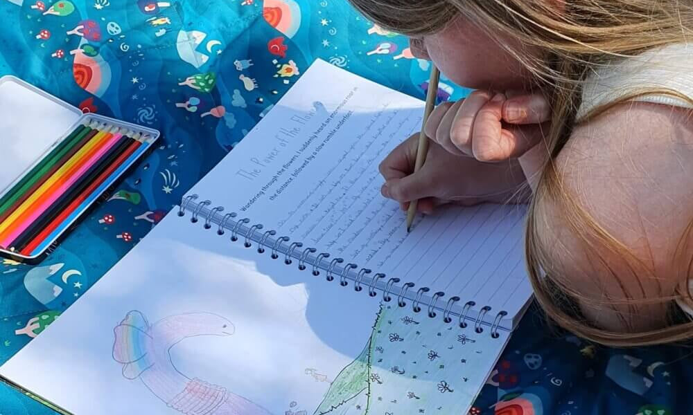 The Phive Enchanting Learning Children's Storywriter's Book