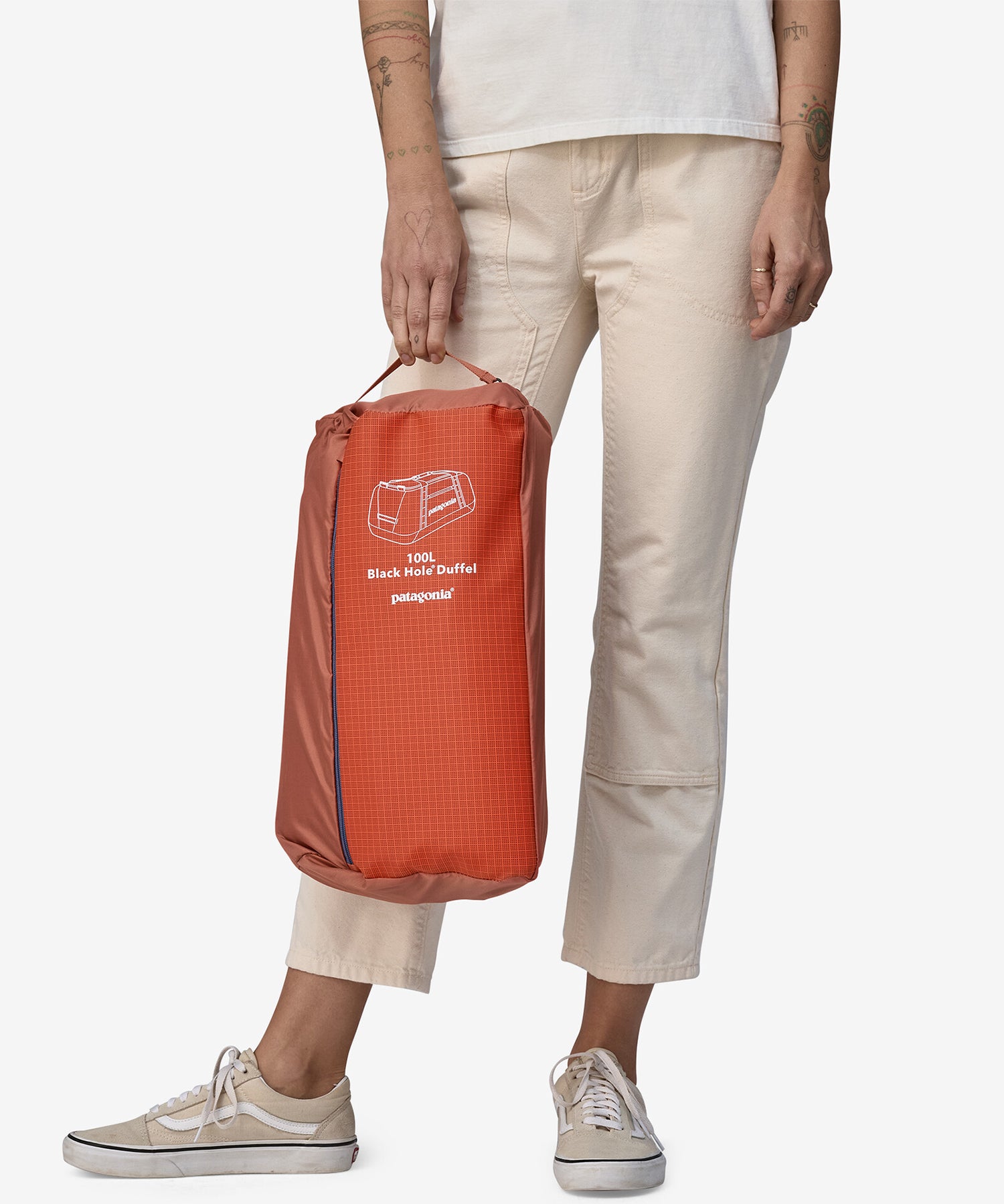 Patagonia Black Hole Duffel 100L carry case