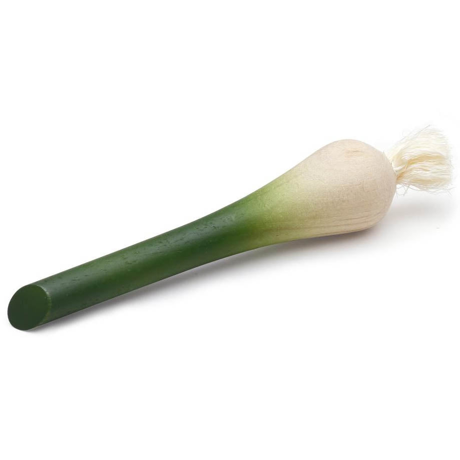 Erzi Spring Onion Wooden Play Food on background