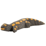 Ostheimer Salamander