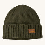 A green beanie with a Patagonia logo on the front on a cream background.