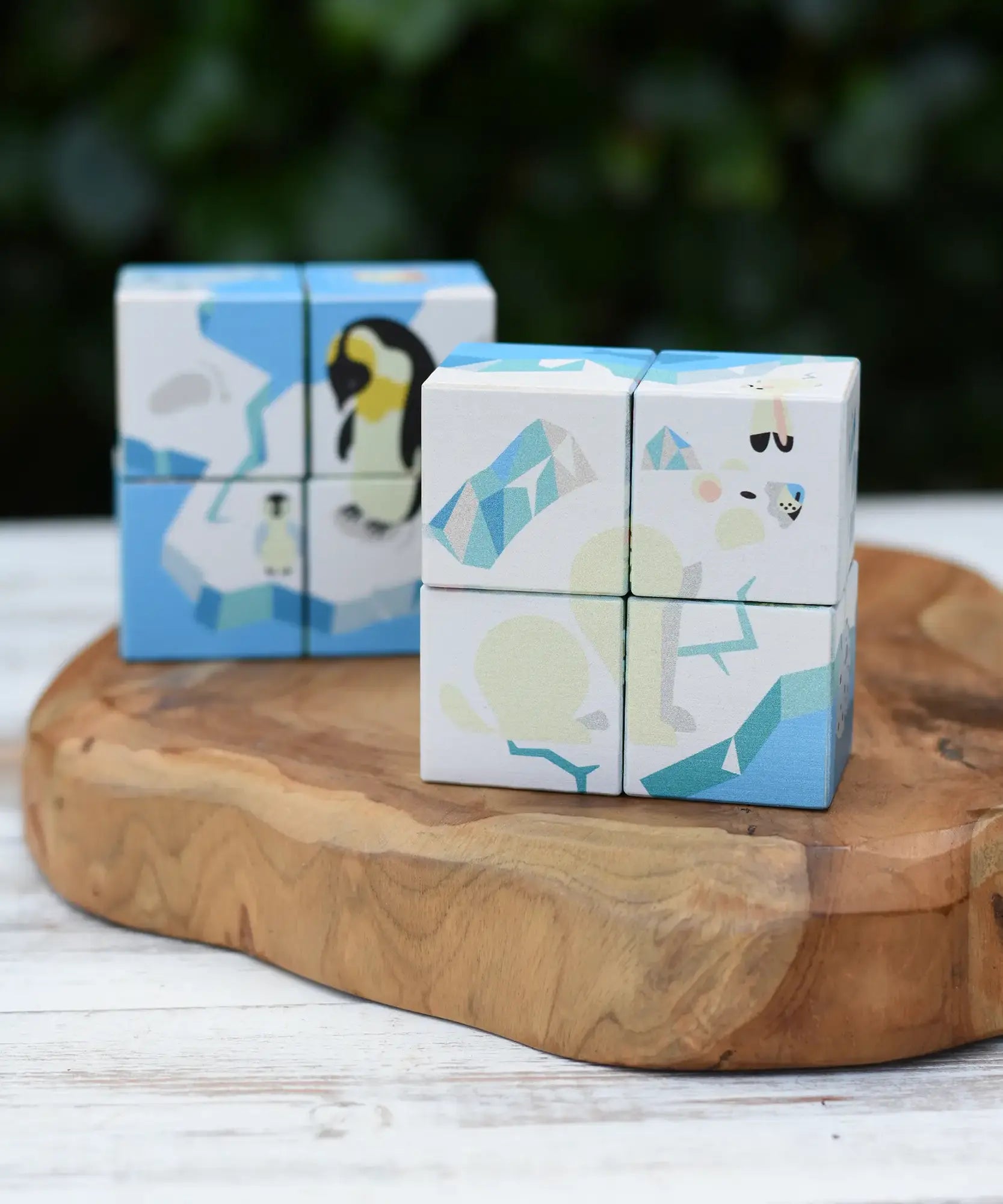Bajo 2-in-1 polar jungle wooden cube block puzzle placed on a wooden surface in two stack featuring the polar design side.