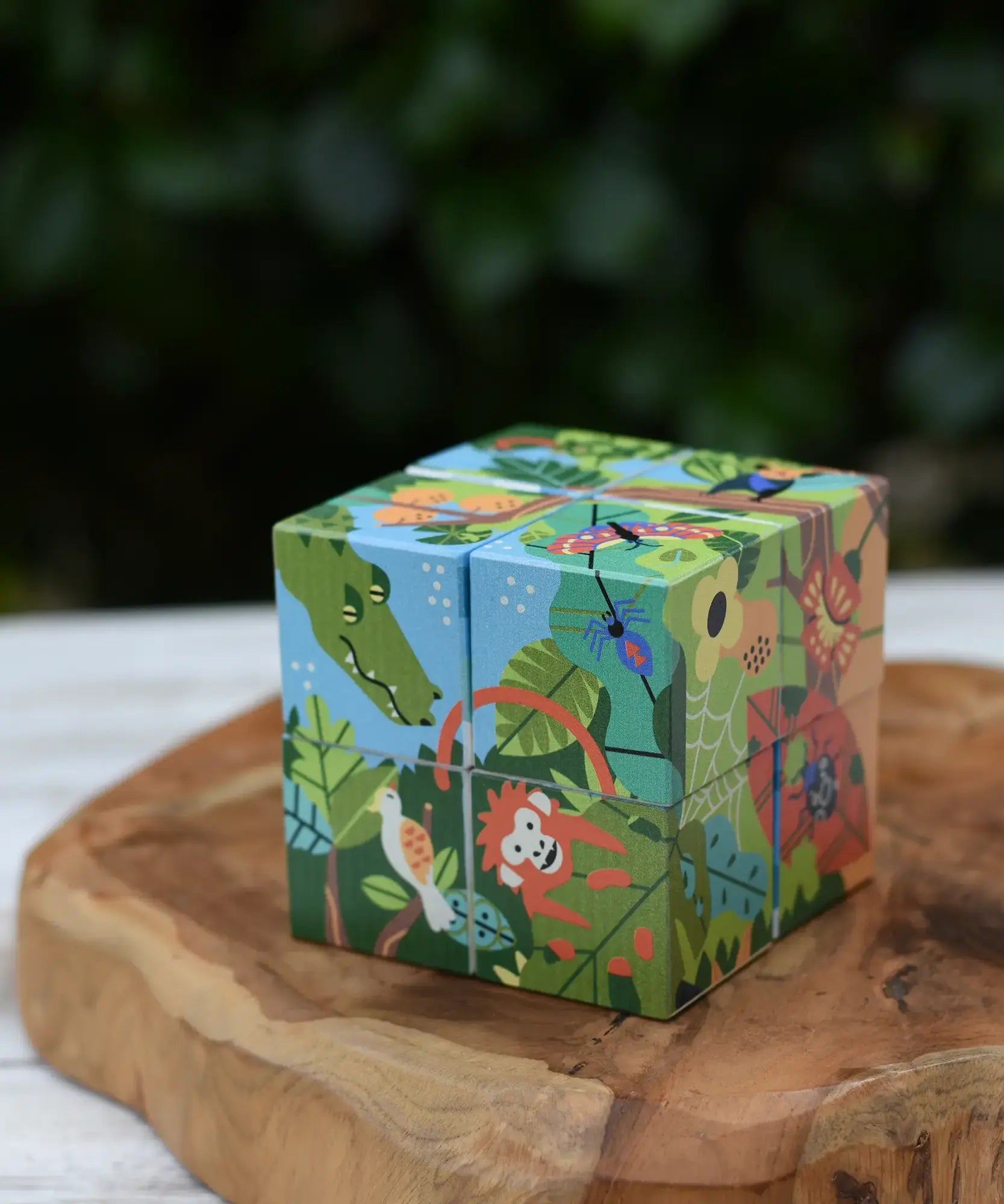 Bajo 2-in-1 polar jungle wooden cube block puzzle placed on a wooden surface shown on the jungle design side.