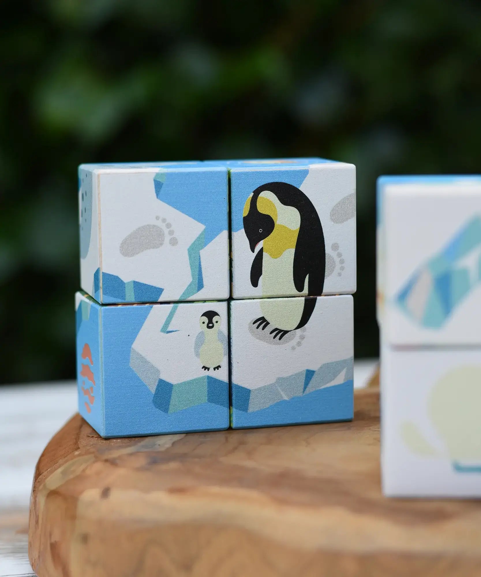 A set of Bajo cube puzzle wooden toy blocks featuring an arctic penguin design, displayed on a rustic wooden slice with a blurred green outdoor background.