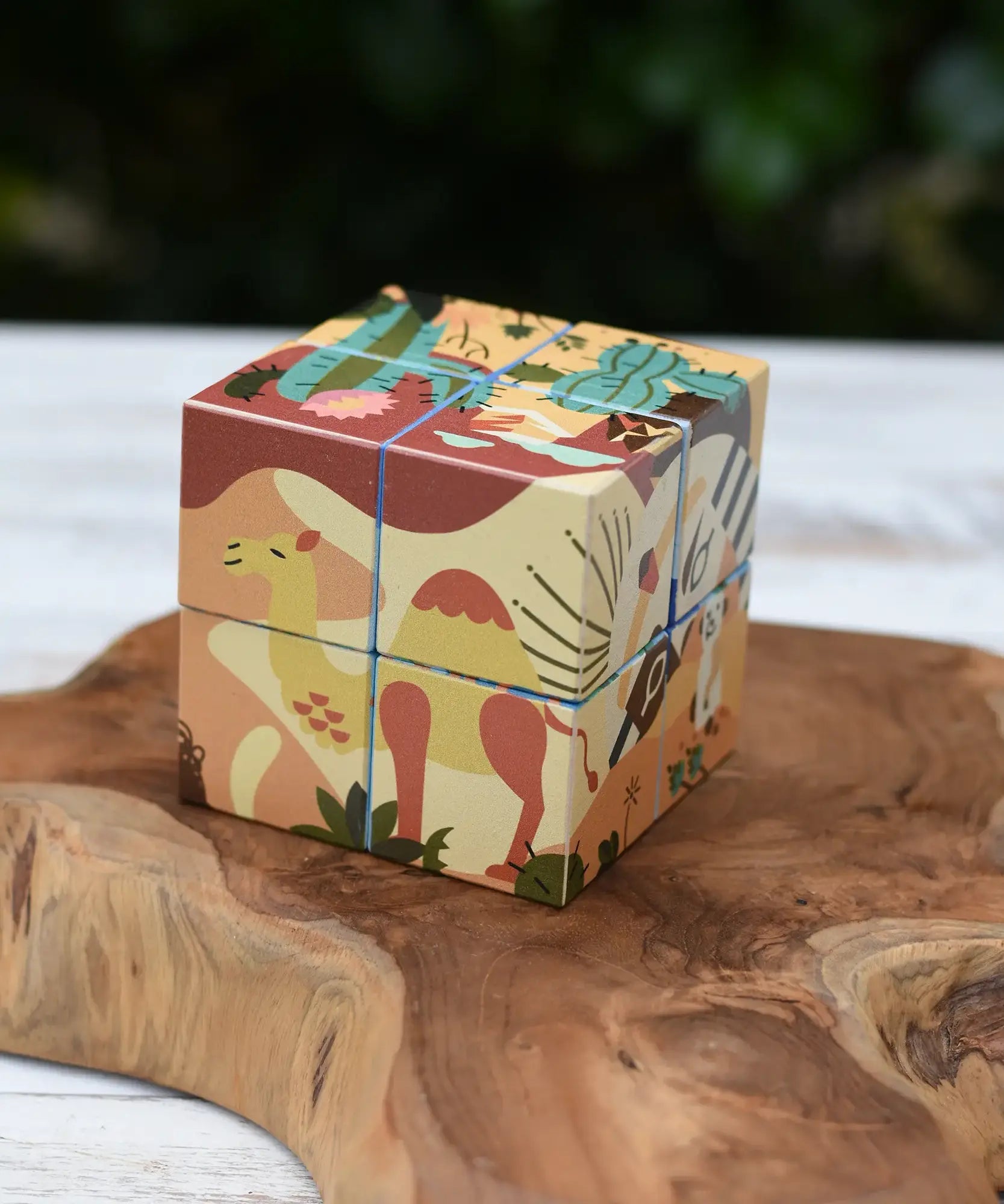 Bajo 2-in-1 reef desert wooden cube block puzzle shown on the desert design side with an illustration featuring a camel.