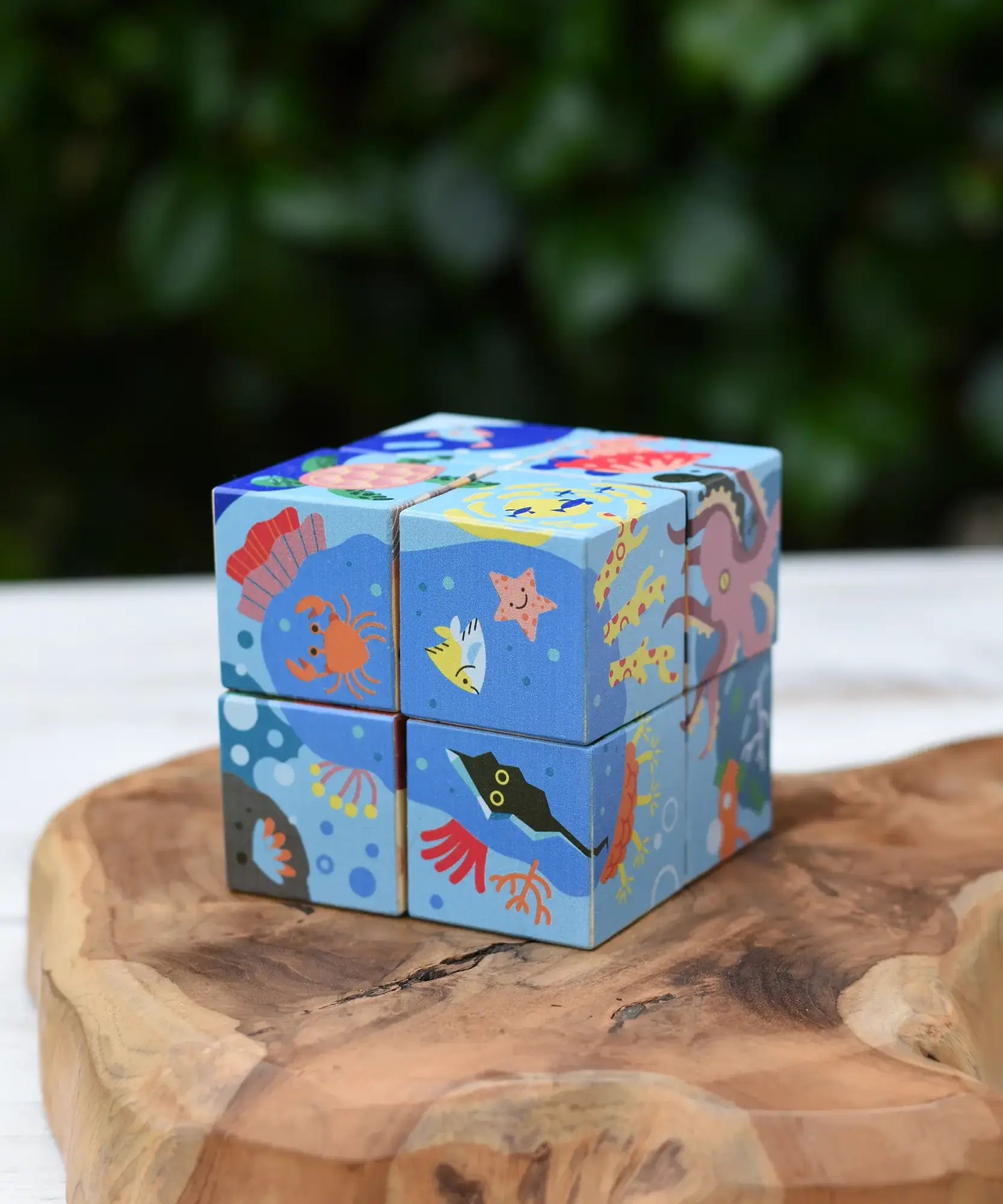 Bajo 2-in-1 reef desert wooden cube block puzzle shown with the reef design side.
