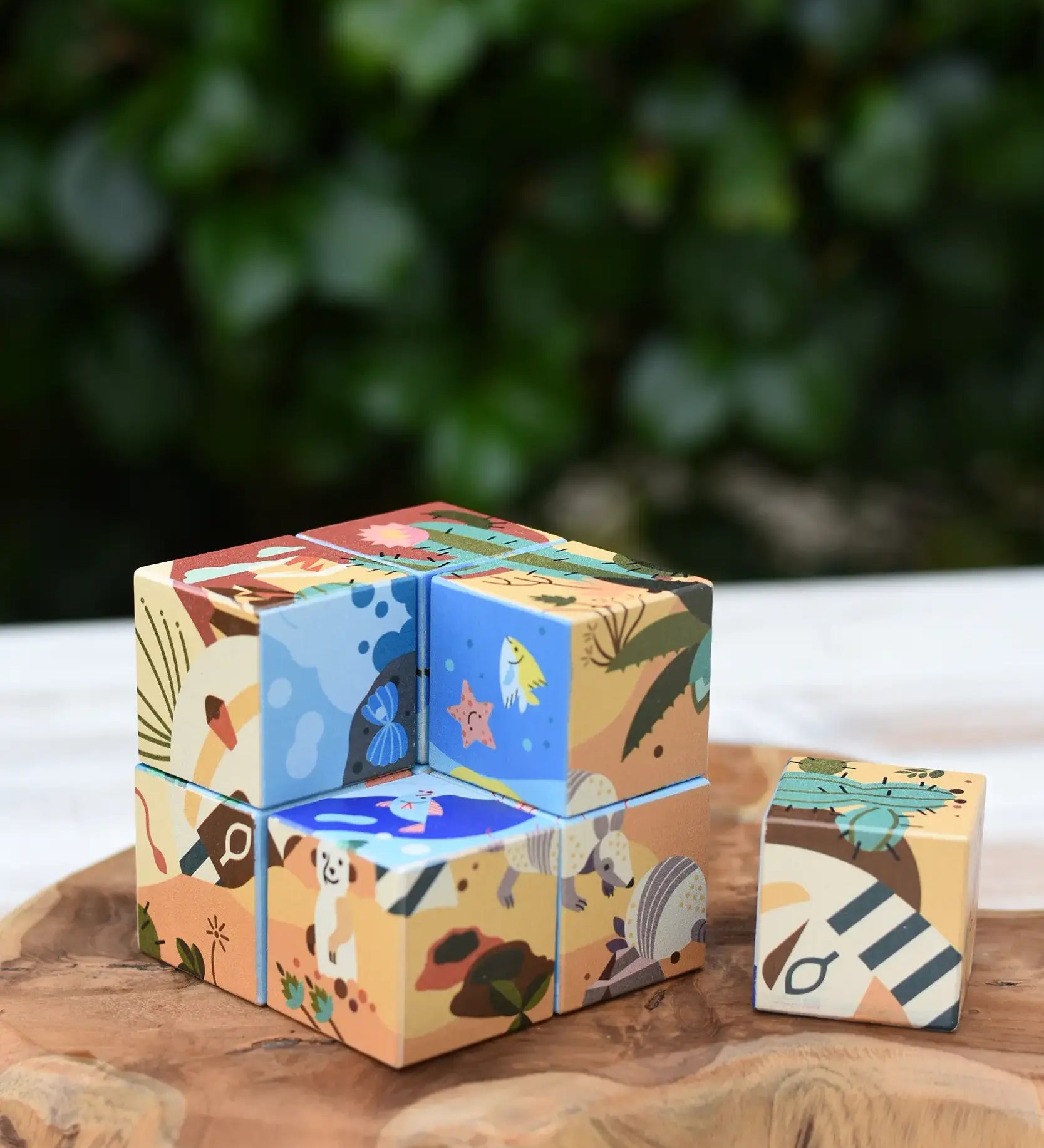 Bajo 2-in-1 reef desert wooden cube block puzzle placed on a wooden surface with one block taken out of the cube. The desert design illustration can be seen on the outside with the reef design showing on the other.