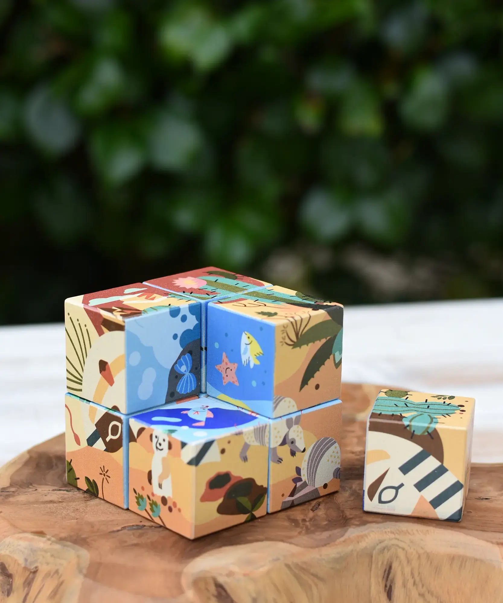 Bajo 2-in-1 reef desert wooden cube block puzzle placed on a wooden surface with one block taken out of the cube. The desert design illustration can be seen on the outside with the reef design showing on the other.