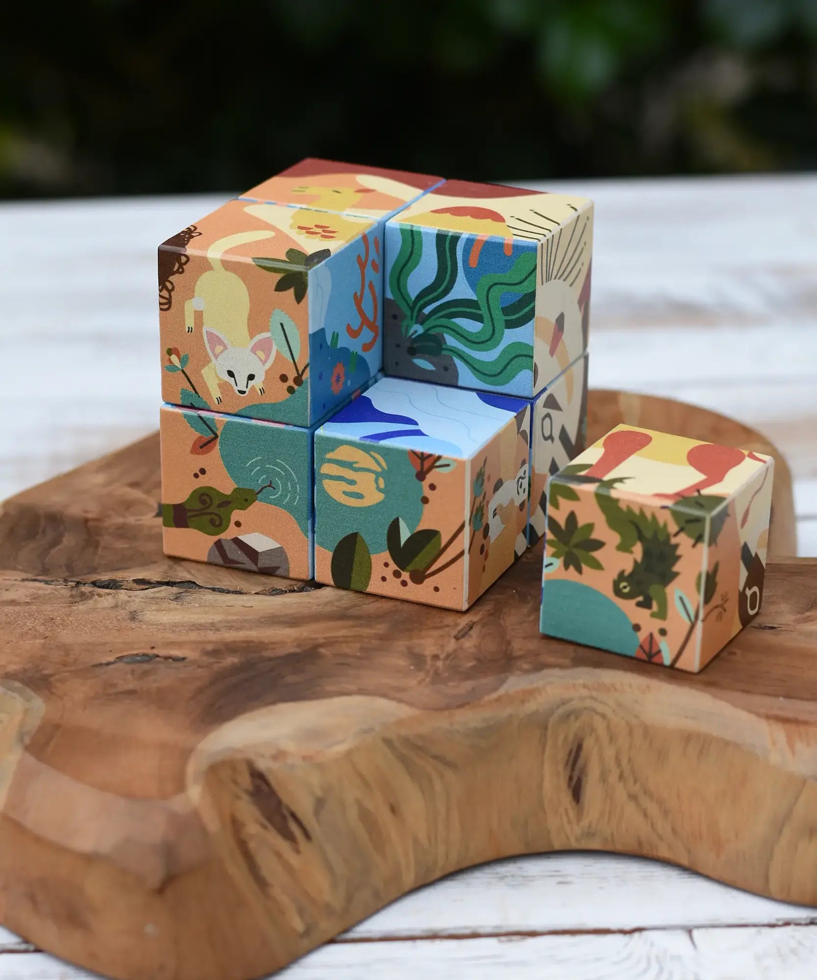 Bajo 2-in-1 reef desert wooden cube block puzzle, set of colorful, patterned wooden blocks with illustrated animal and nature designs, arranged on a rustic wooden board outdoors.