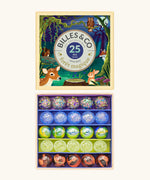 Billes & Co forest magic marble set showing 25 different coloured marbles presented in a magic forest themed box