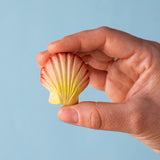 An adult hand holding the Bumbu handmade and hand painted orange and red wooden sea shell figure showing size