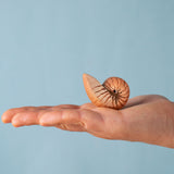 An adult hand holding the Bumbu handmade and hand painted brown wooden spiral shell figure showing size