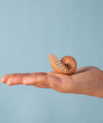 An adult hand holding the Bumbu handmade and hand painted brown wooden spiral shell figure showing size