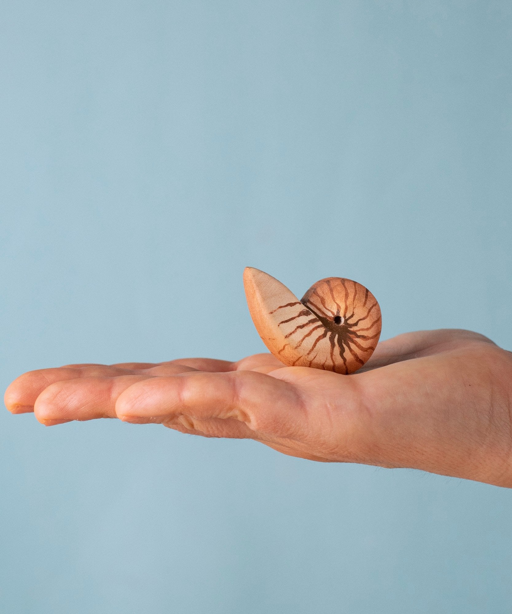 An adult hand holding the Bumbu handmade and hand painted brown wooden spiral shell figure showing size