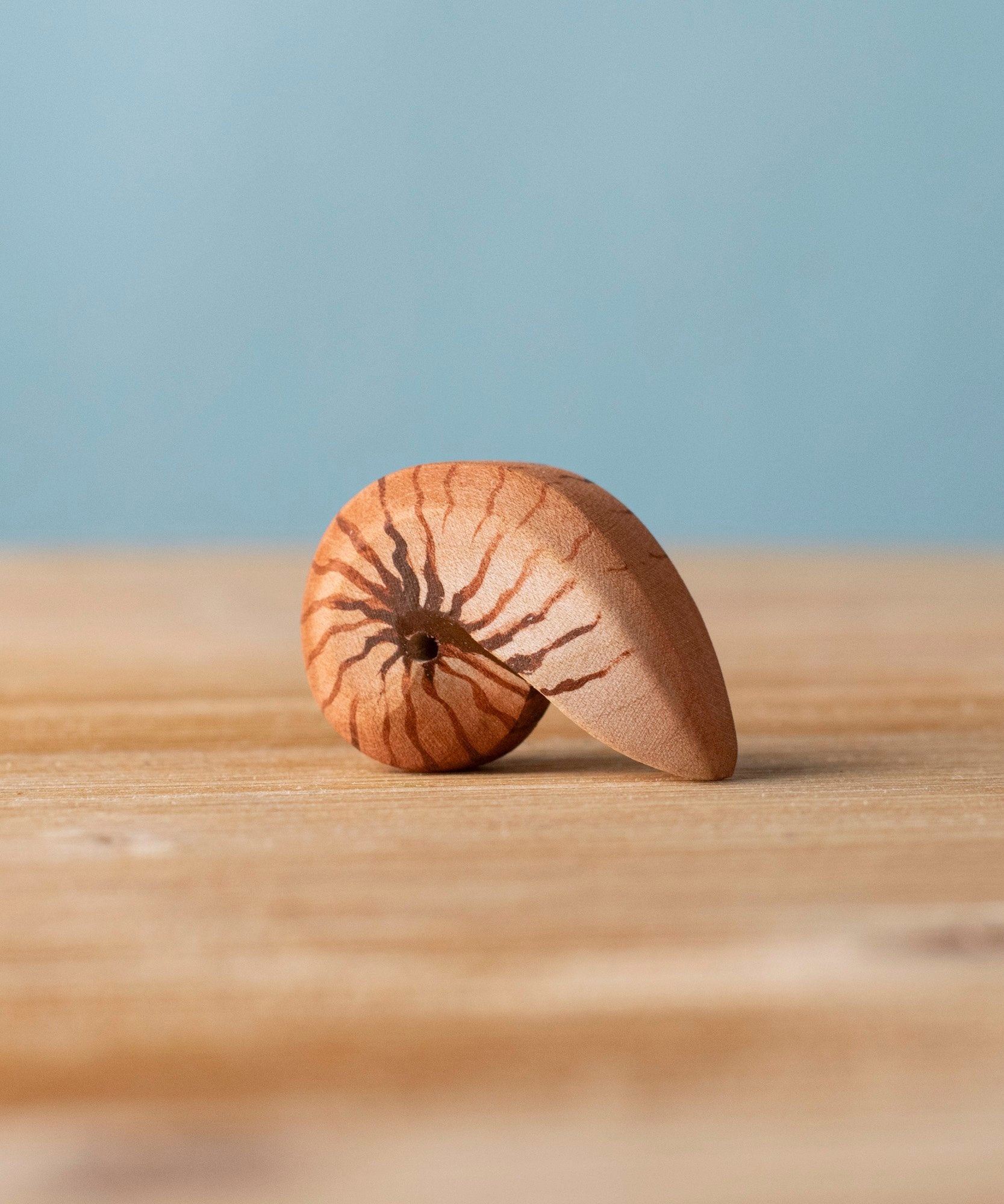 Bumbu handmade and hand painted brown wooden spiral shell figure with shell details available at Babipur. 