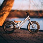 The Early Rider Charger Balance Bike - Violet Haze is stood on a dark wood decking, with a calming lake and tree background in the setting sun