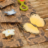 The Oli & Carol Natural Rubber Teether - Katia The Butterfly with other Oli & Carol teethers on their cardboard packaging slip