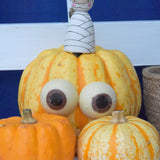 Cocoa Loco chocolate eyeballs stuck on a medium sized orange pumpkin. There is a mummy themed peg doll by Peepul sitting on top of the pumpkin. There are two mini pumpkins in the front of the image.