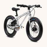 Early Rider Seeker X16 16" Bike - Brushed Aluminium, on a plain background