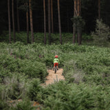 Child riding a bike through a path, with the dark forest in the background