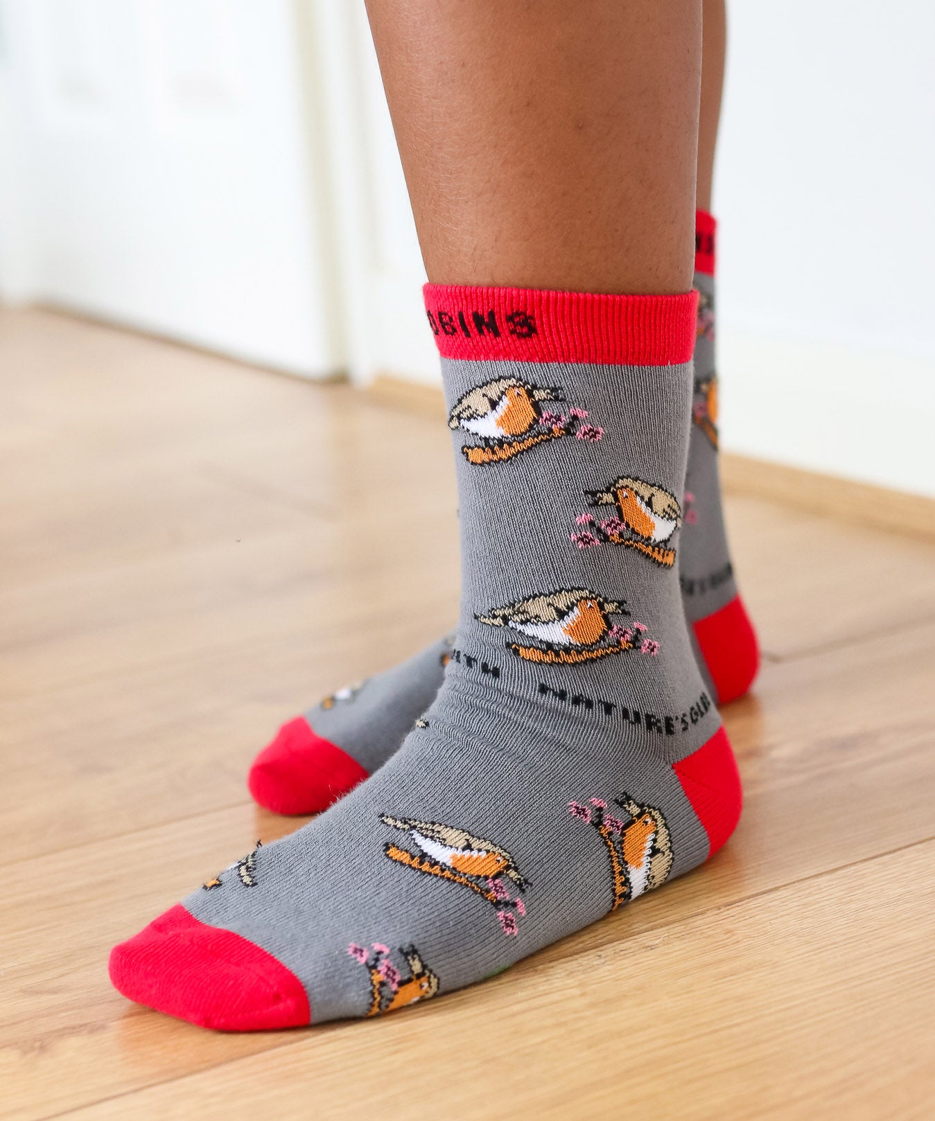 Eco kiddies chirpy robins organic cotton kids socks. A grey sock with red detail and features a cute signing robin design 