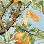 An illustrated page from The Sun Egg by Elsa Beskow. The image shows the fairy in a yellow dress, climbing an orange tree with a butterfly flying next to it.