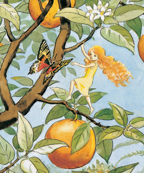 An illustrated page from The Sun Egg by Elsa Beskow. The image shows the fairy in a yellow dress, climbing an orange tree with a butterfly flying next to it.