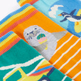 Close up of the Frugi 100% organic cotton surf rock my socks multipack showing the ankle cuff detail