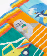 Close up of the Frugi 100% organic cotton surf rock my socks multipack showing the ankle cuff detail