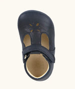 Froddo barefoot baby pre walker shoe in dark blue. A natural leather shoe with a velcro t bar strap and flower cut out on front
